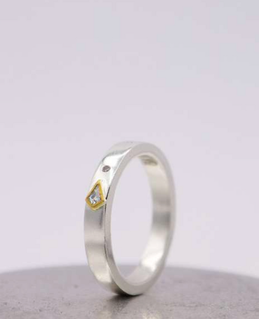 ANILLO DE CISNE